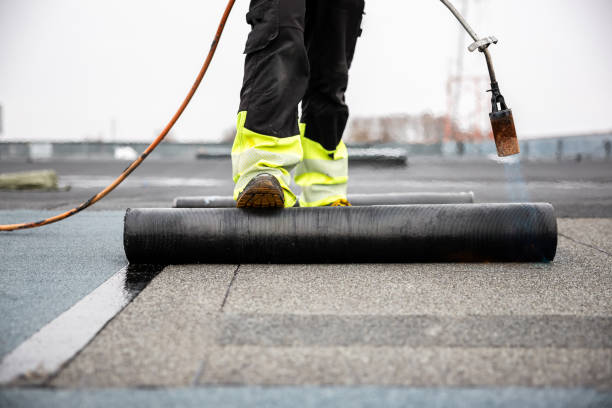 Best Metal Roofing Installation  in Jasper, TX